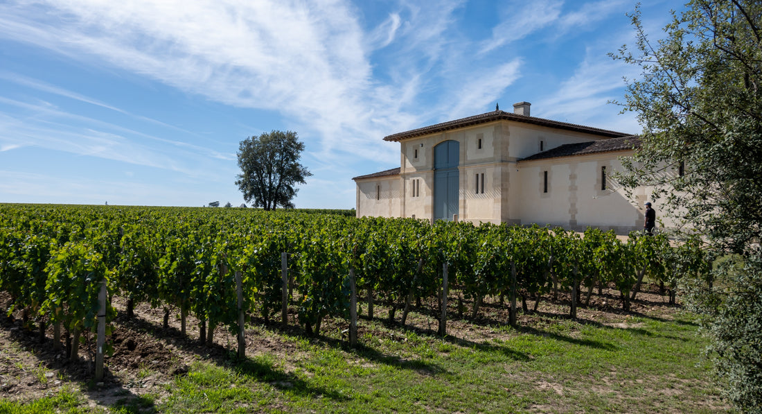 The Allure Of Pomerol: A Hidden Gem In France's Wine Country