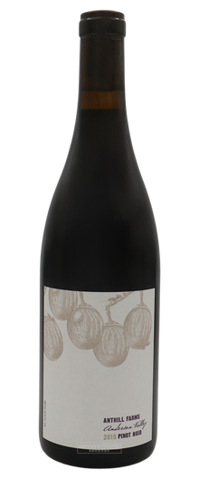 Anthill Farms Pinot Noir Anderson Valley 2015 750ml - 1