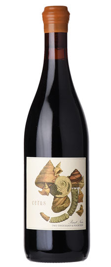 Antica Terra Pinot Noir Ceras Willamette Valley 2014 750ml - 1