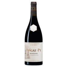 Domaine Dugat-Py Bourgogne Rouge Cuvee Halinard 2020 750ml - 1