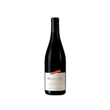 David Duband Bourgogne Rouge 2019 750ml - 1