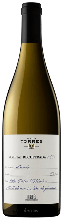Torres Varietat Recuperada No 23 Forcada 2019 750ml - 1
